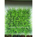 Aquarium Ornament Decoration Plastic Grass Synthetic Lawn Mat